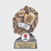 Surgestar Boxing Trophy