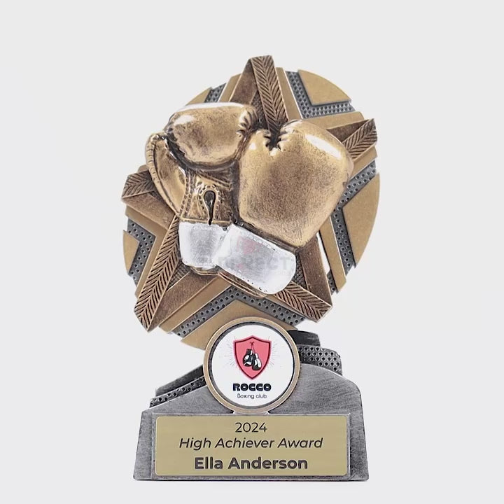 Surgestar Boxing Trophy