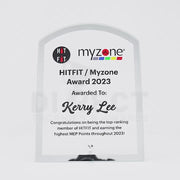 Swift Colour Plaque Trophy