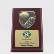 Metnox Football Plaque Trophy