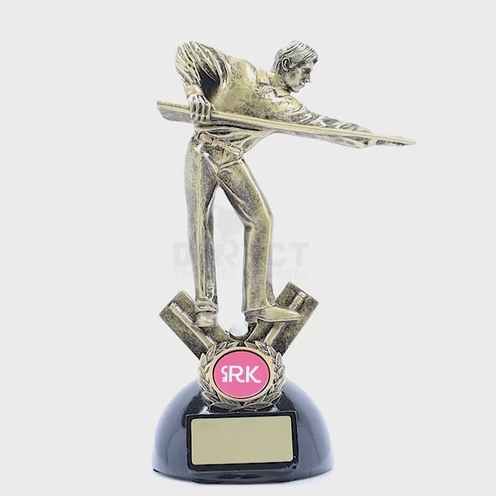 Snooker Pool Ace Accolade Trophy
