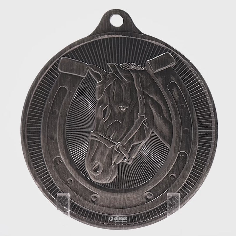 Rayva Horses Silver Medal - product video