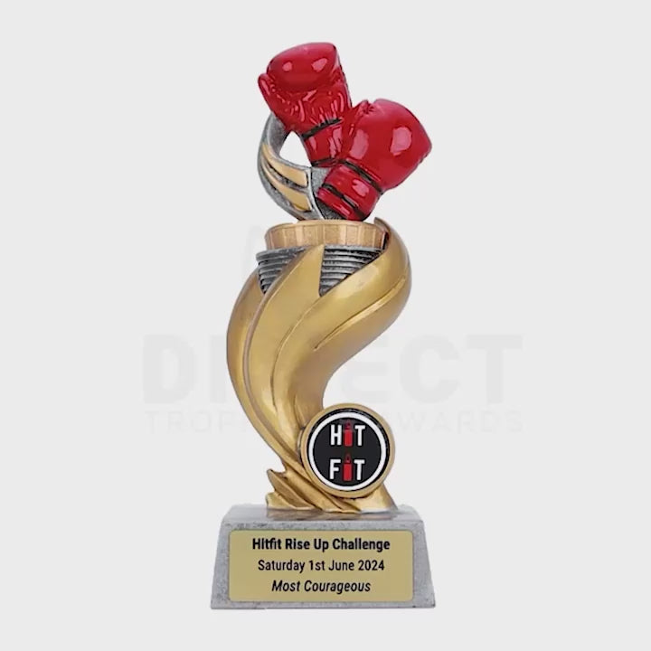 Boxing Flame One Trophy