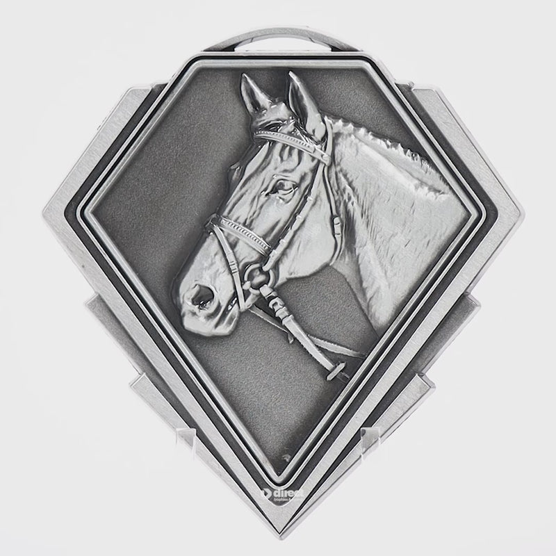 Pykon Horse Silver Medal - product video