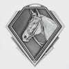 Pykon Horse Silver Medal - product video