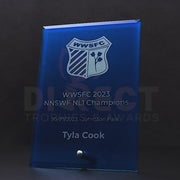 Craft Plaque Blue Trophy