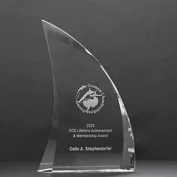 Infiniti Crystal Curved Sail Trophy