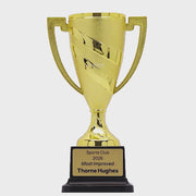 Sunburst Gold Cup - product video
