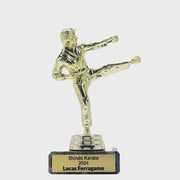 Male Karate Figure Trophy