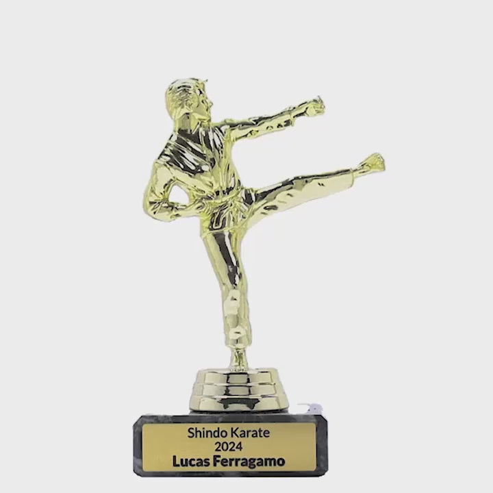 Male Karate Figure Trophy