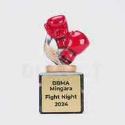 Boxing Marble Trophy