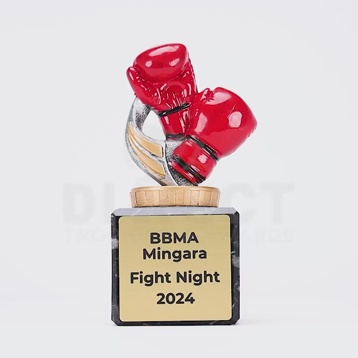 Boxing Marble Trophy