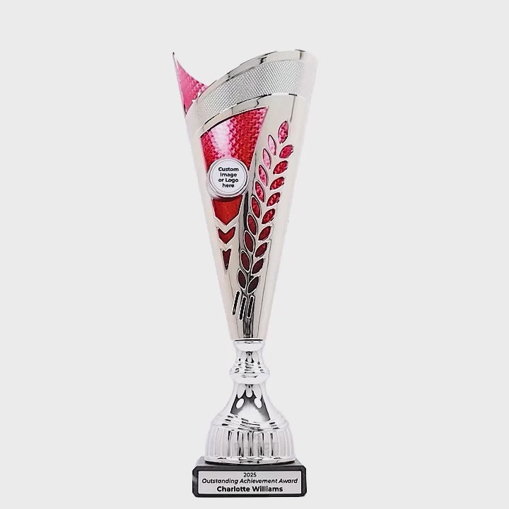 Vastel Silver Red Cup