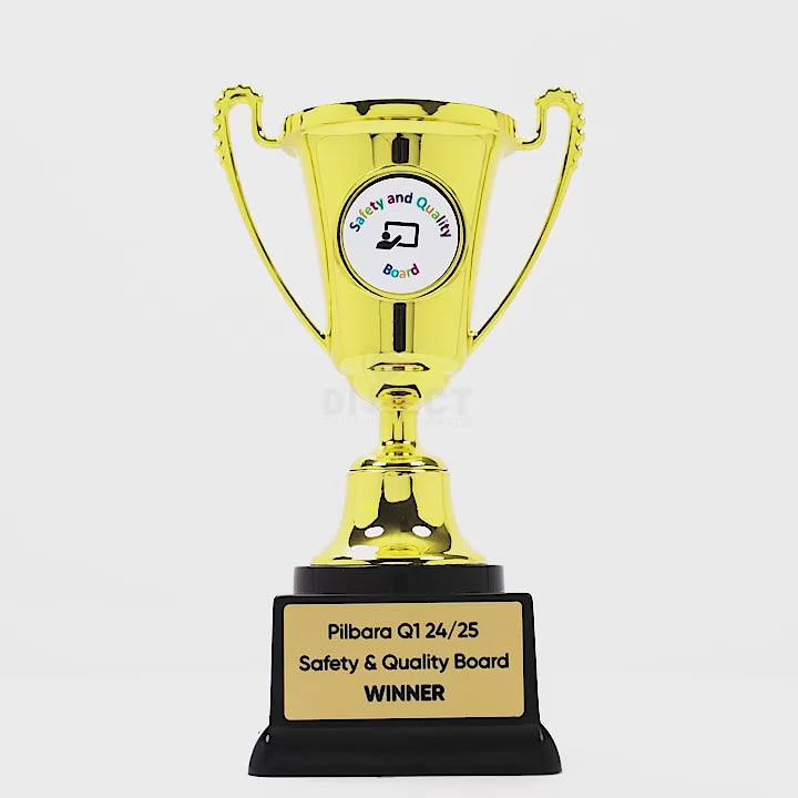Picotive Gold Cup