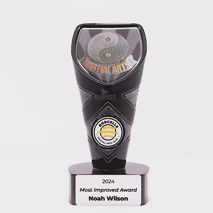 Viper Martial Arts Trophy