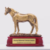 Horse Standing Trophy - product video