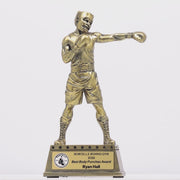 Samba Boxing Trophy - product video