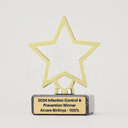Twinkle Little Metal Star Trophy
