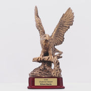 Eagle Trophy - product video