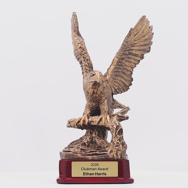 Eagle Trophy - product video