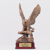 Eagle Trophy - product video