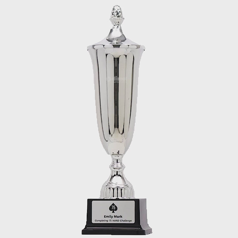 Armoury Silver Cup - product video