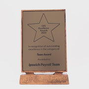Billboard Xtra Plaque Bronze 215mm - product video