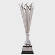 Catalyst Silver Cup - product video