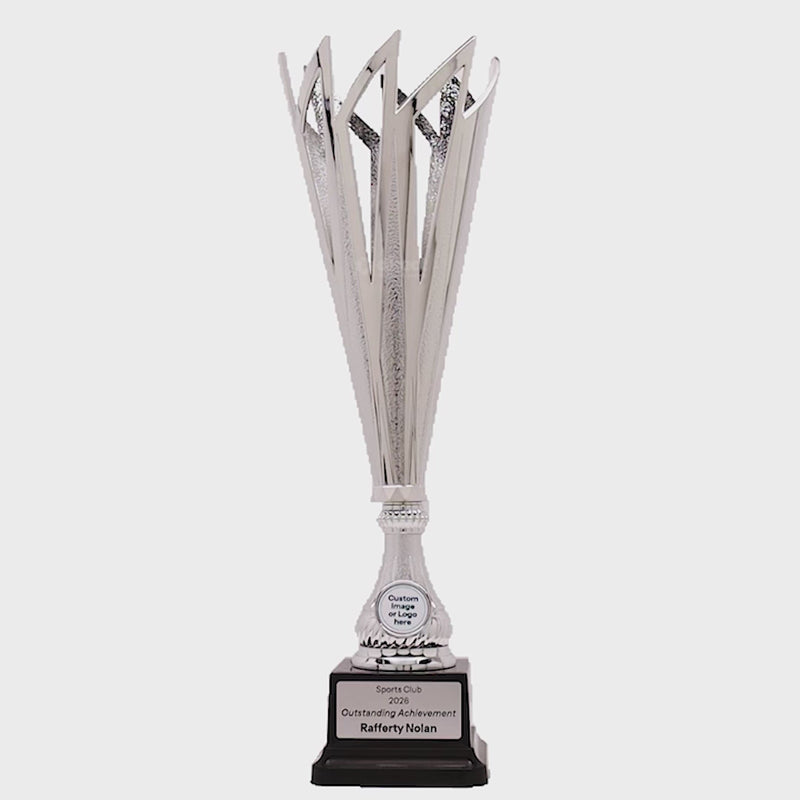 Catalyst Silver Cup - product video