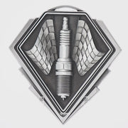 Pykon Motorsport Silver Medal - product video