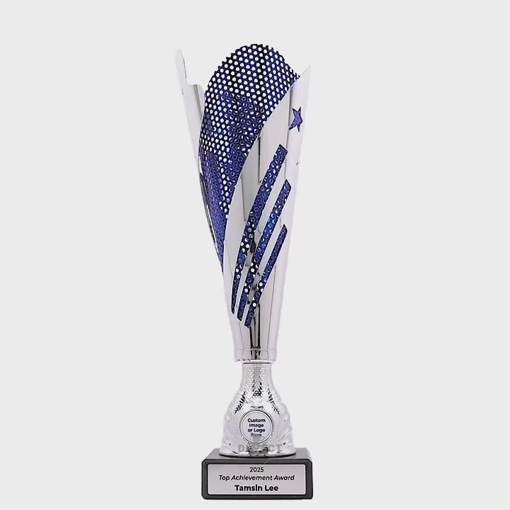 Omira Silver Blue Cup