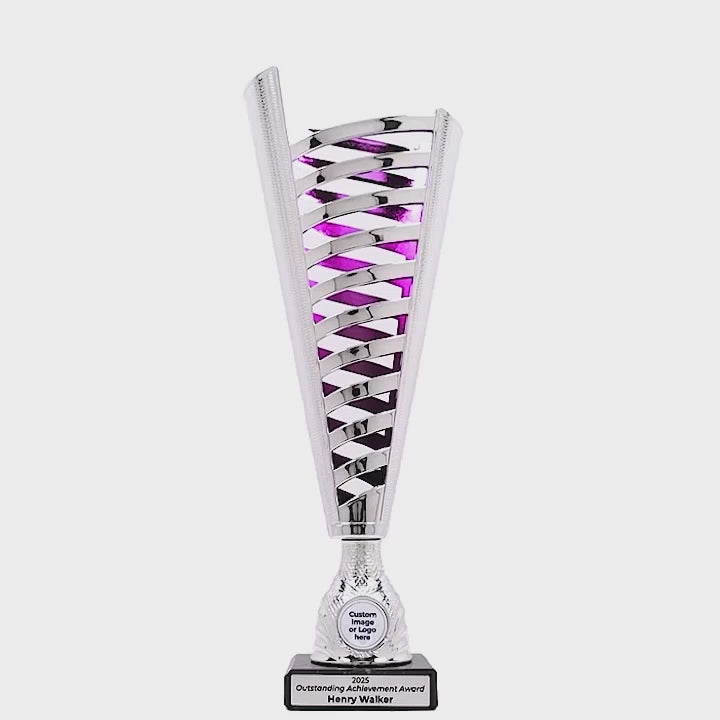 Crenelle Silver Purple Cup