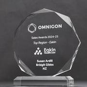 Acrylic Octagon Trophy
