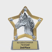 Horse Mini Star