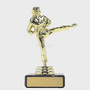 Female Karate Figure Trophy