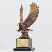 Rising Star Eagle Trophy - product video