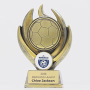 Vesta Football Trophy - product video