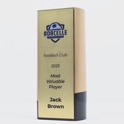 Elevon Football Trophy