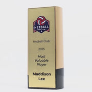 Elevon Netball Trophy