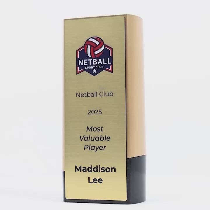 Elevon Netball Trophy