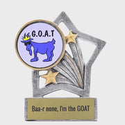 Flash Activity GOAT