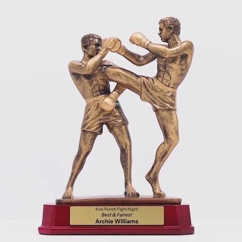 Double Kick Boxing Trophy - product video