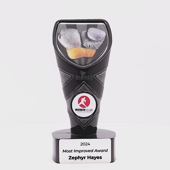 Viper Boxing Trophy