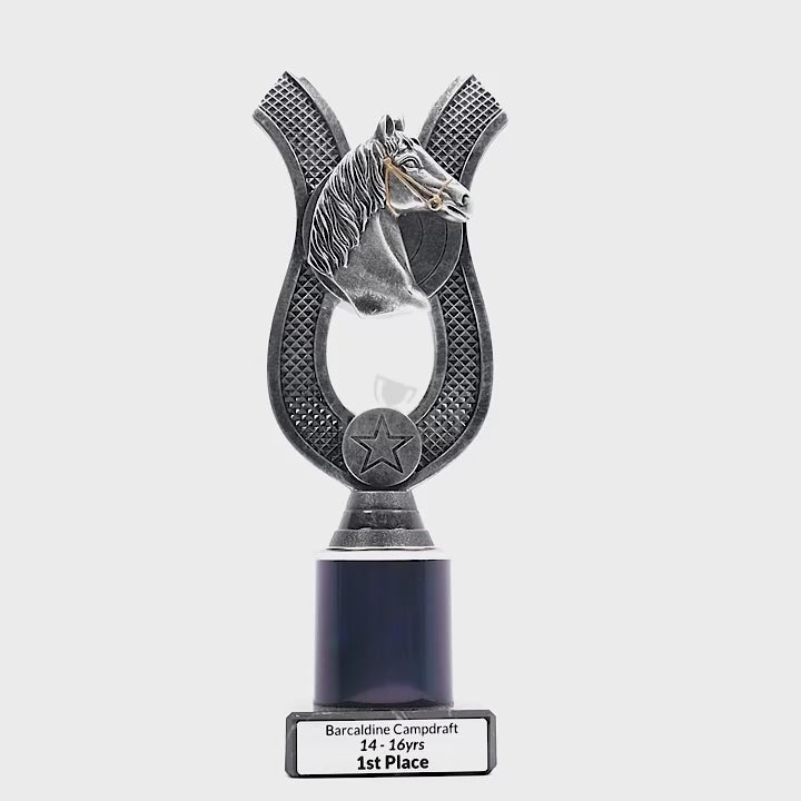 Anchor Horse Trophy