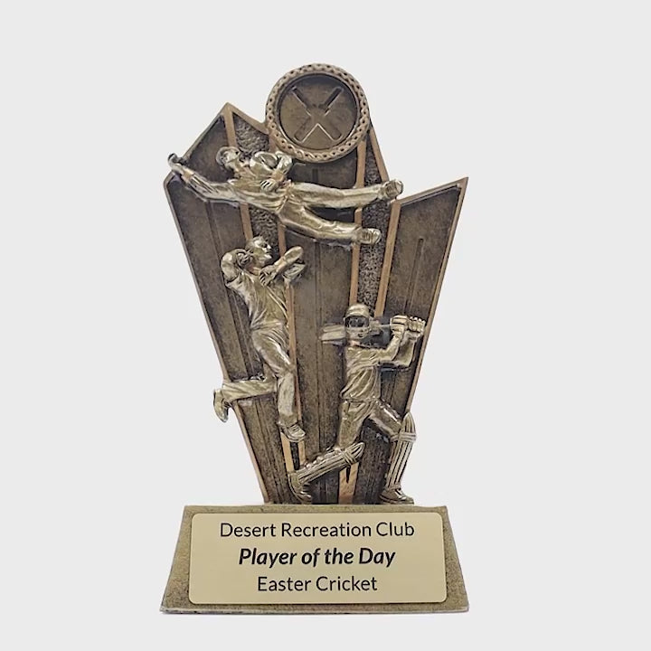 Cricket Maestro Trophy