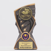 Onyx Spelling Trophy - product video