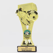 Synova Football Gold Trophy