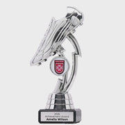Silver Boot Trophy - product video