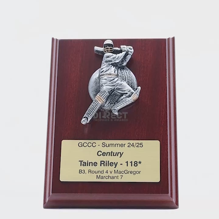 Plaque Male Batting