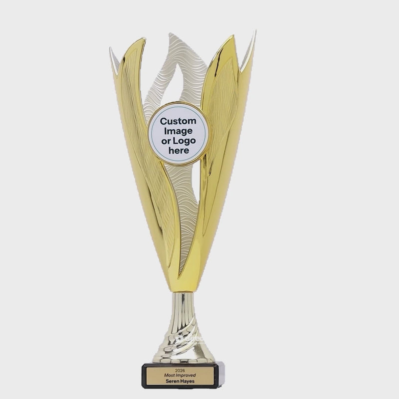 Omega Gold Silver Cup - product video